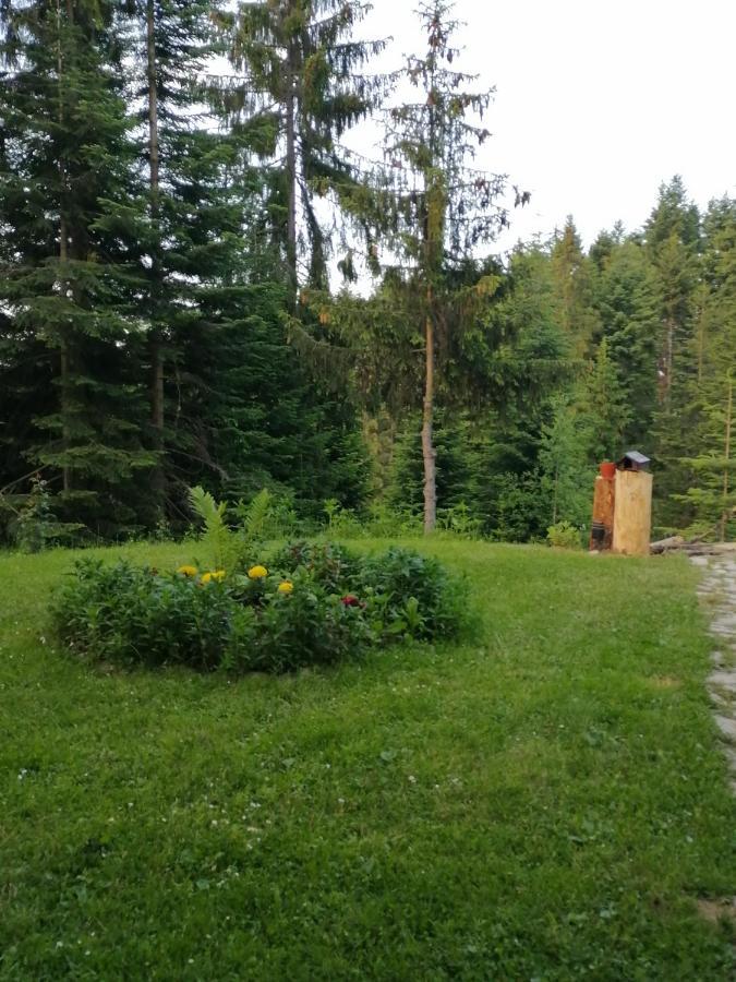 P-Zlatar, Apartman 3 Brdo ภายนอก รูปภาพ